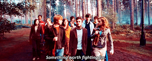 Dumbledore's Army had something worth fighting for