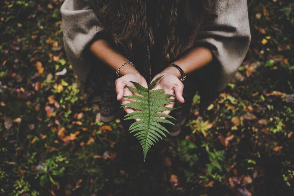 woman holding a leaf - career in environment