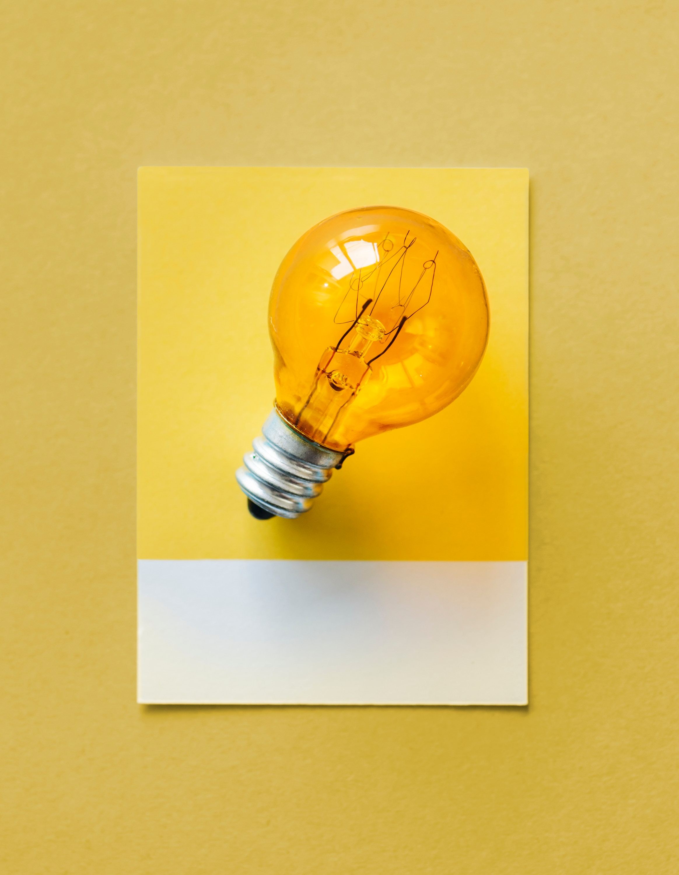 lamp - career out of the box